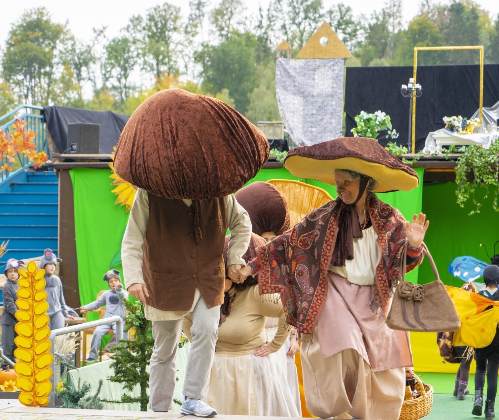 Die Steinpilze Die Steinpilze